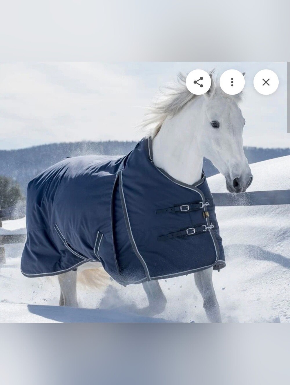 NWT Lami-cell 150 Turnout Blanket. Size 81.